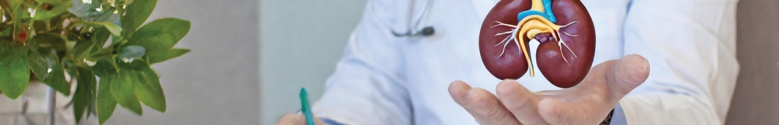 Nephrology Specialist in Mangalore